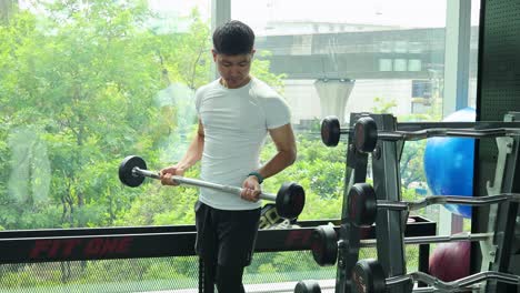 Young Asian man performs barbell bicep curls in bright urban gym with large windows