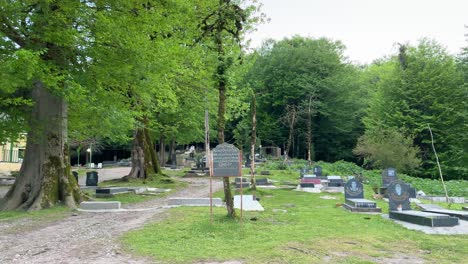 Waldfriedhof,-Auf-Dem-Tote-Menschen-Beerdigt-Werden,-Gibt-Es-Im-Dschungel-Im-Frühling,-Grüne-Bäume,-Schöner,-Friedlicher,-Ruhiger-Ort-Für-Den-Tod,-Altes-Historisches-Dorf,-Ländlicher-Bezirk,-Naher-Osten,-Asien