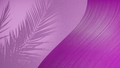 palm-leaves-shadow-on-purple-background-wall-with-copy-space