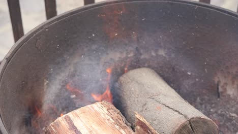 troncos que se encienden y queman en un pozo de fuego