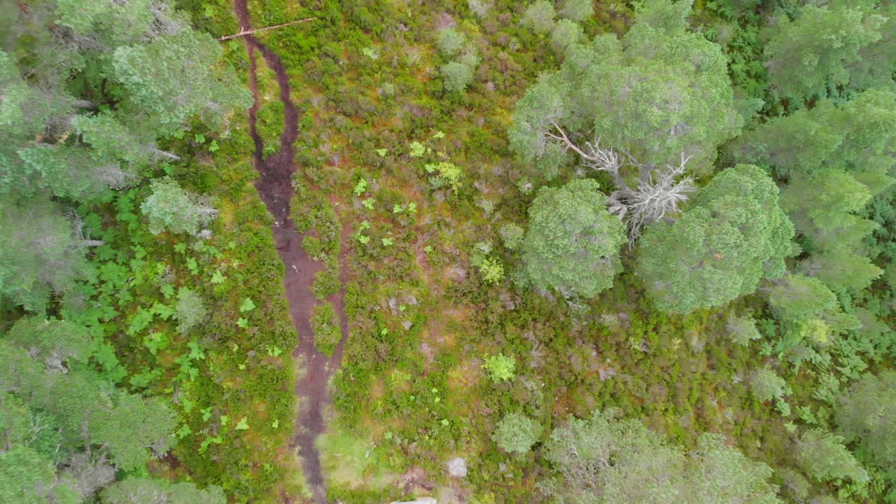 pastizales y un pequeño arroyo en las montañas de escocia