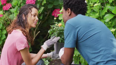 happy biracial couple gardening together, taking care of flowers