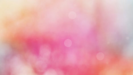 Abstract autumn background with bokeh