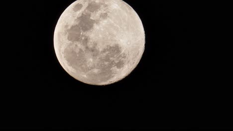 Vista-De-Una-Luna-Llena-Mientras-Se-Mueve-Lentamente-Un-Poco-Hacia-Arriba,-Mostrando-Los-Cráteres-Y-Otras-Formas-De-Relieve-Que-Se-Pueden-Ver-En-La-Cara-De-La-Luna.