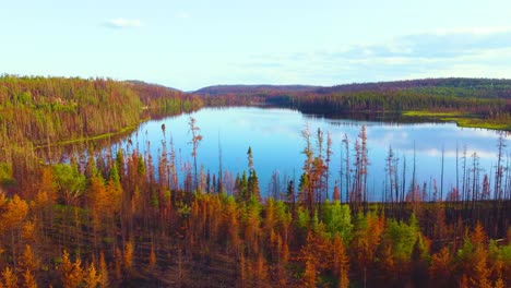 sideways-aerial-dolly-shot-showing-devastation-brought-on-by-Canadian-wildfires-in-the-summer