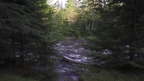 Flusswasser-Fließt-über-Stromschnellen,-Schöne-Naturlandschaft