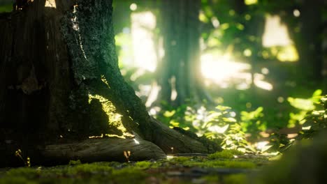 Los-Rayos-Del-Sol-Se-Vierten-A-Través-De-Las-Hojas-En-Una-Selva-Tropical