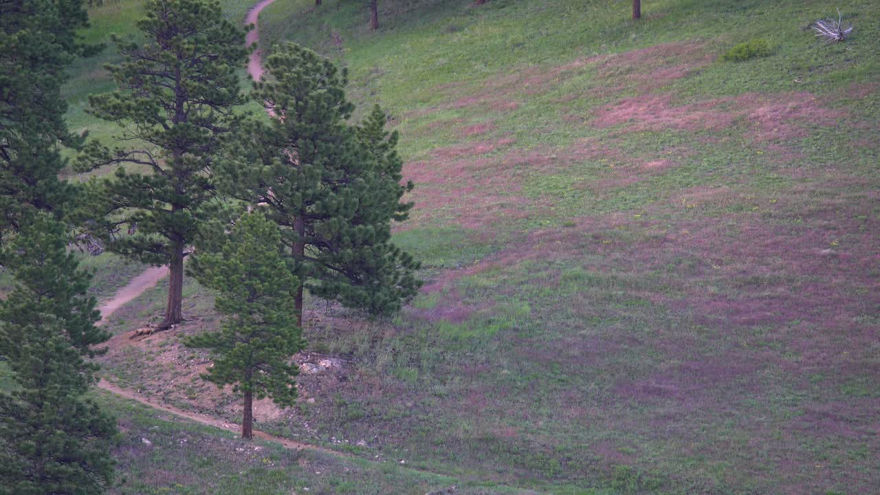 mujer montando cuesta abajo en un sendero de montaña en colorado