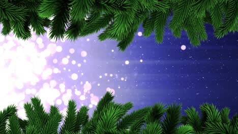 animation of snow falling over christmas fir tree