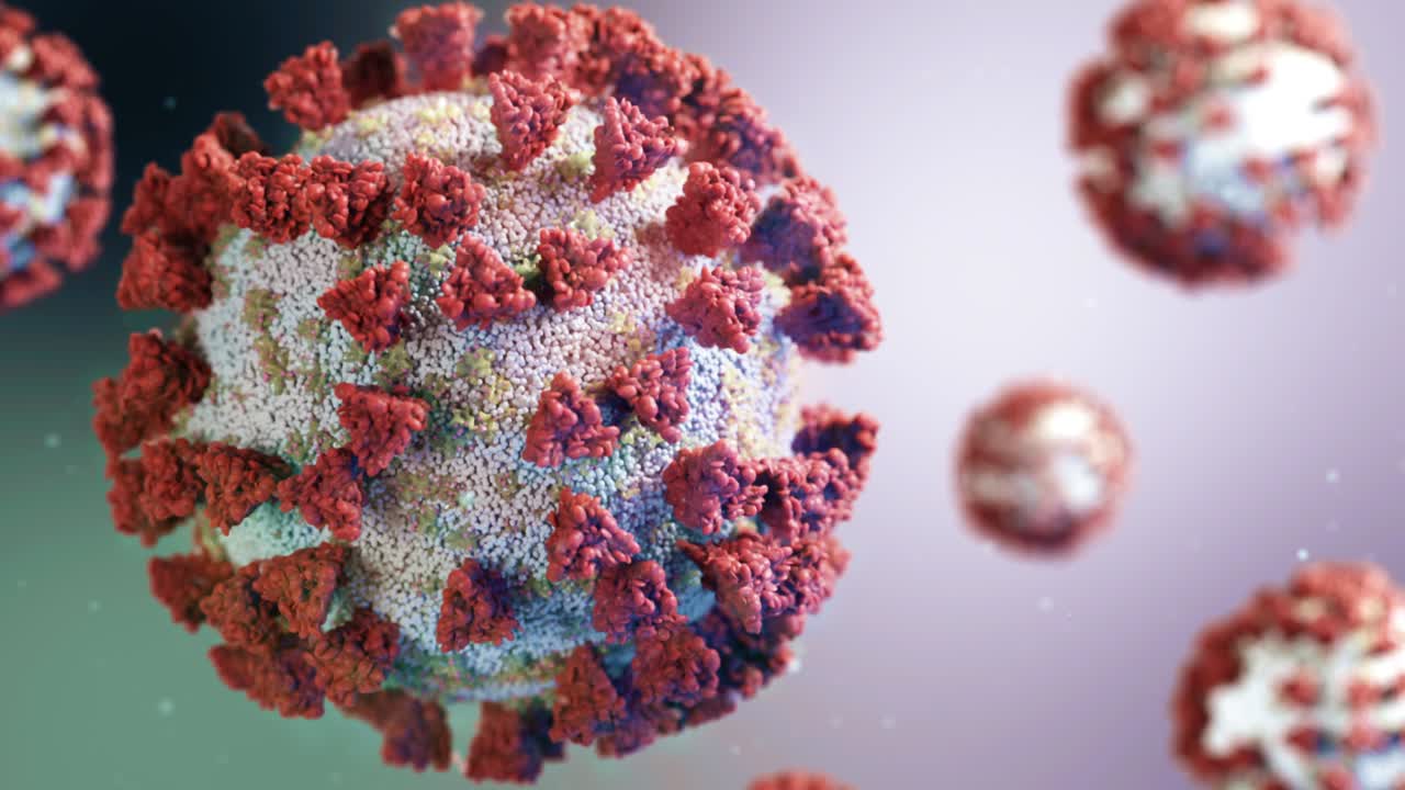 síndrome respiratorio agudo severo coronavirus