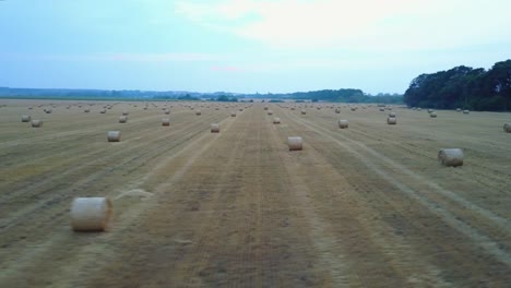golden wheat field with hay bales. aerial view of harvested golden wheat field with hay bales in the countryside