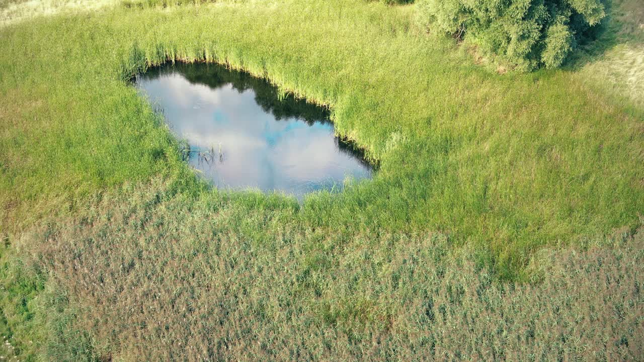 Top view aerial flight over small lake of perfectly round shape