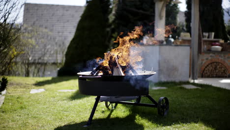 outdoor fire pit with burning wood