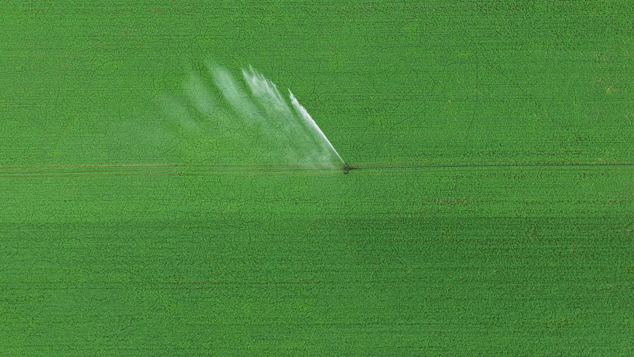 Sistema di irrigazione agricolo che irriga una vasta distesa di terreno agricolo verde con getti d'acqua che si muovono sulle colture, rappresentando la tecnologia agricola moderna, la produzione alimentare e la gestione sostenibile dell'acqua
