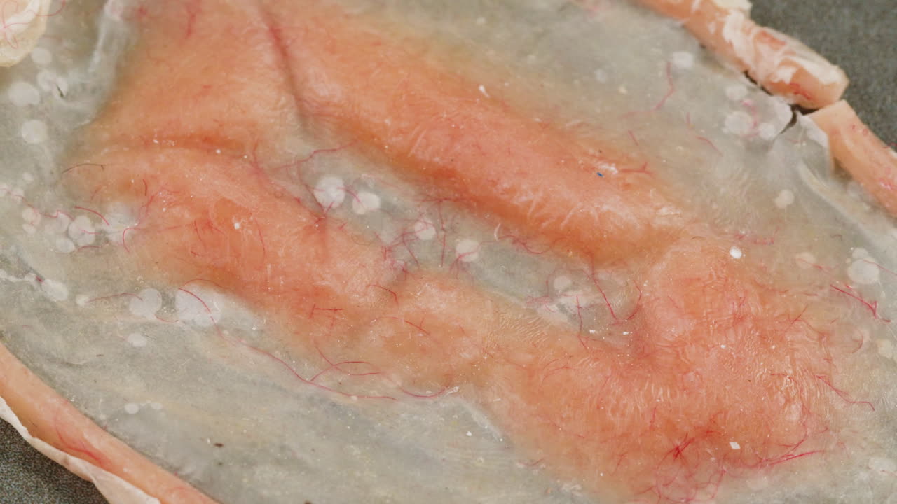 A rubber fake finger with blood close-up. Make-up equipment props for films and shooting. Bloody fake fingers for halloween and parties