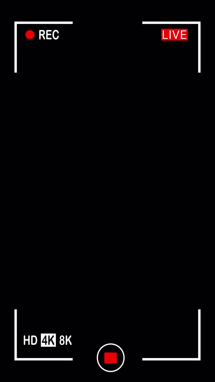 Digital Camera Recording Interface Overlay
