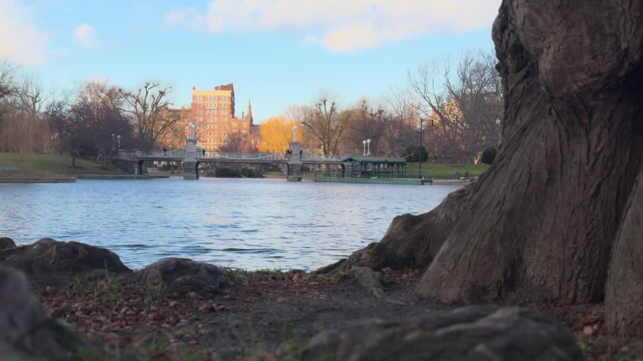 Boston Commons in January 2025