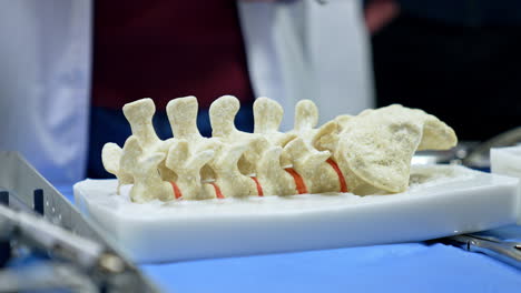 blue pointer touches the dummy of human spine. neurosurgery practice for students. close up.