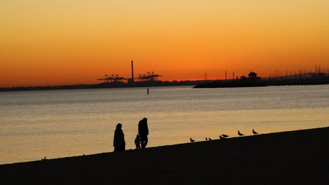 two people walking along the beach at sunset