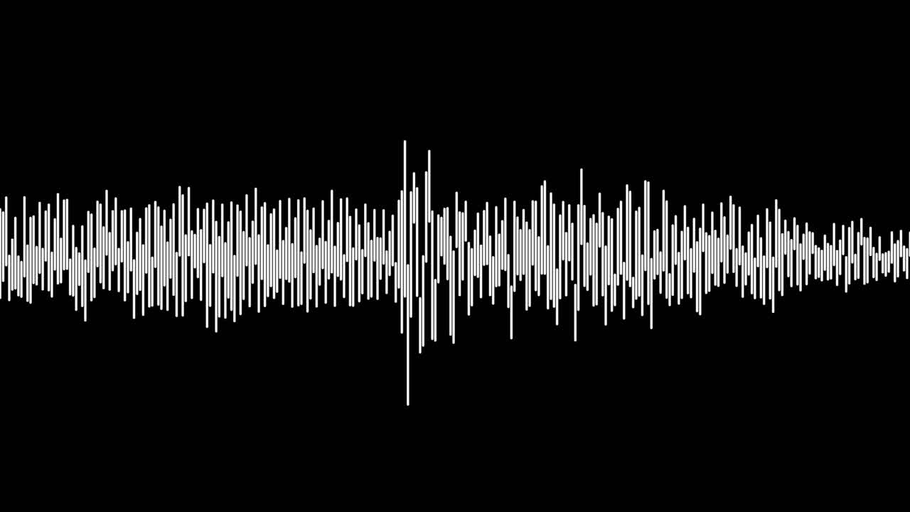 un simple efecto de visualización de audio en blanco y negro-25