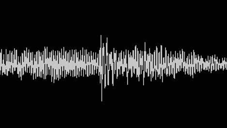 un simple efecto de visualización de audio en blanco y negro-25