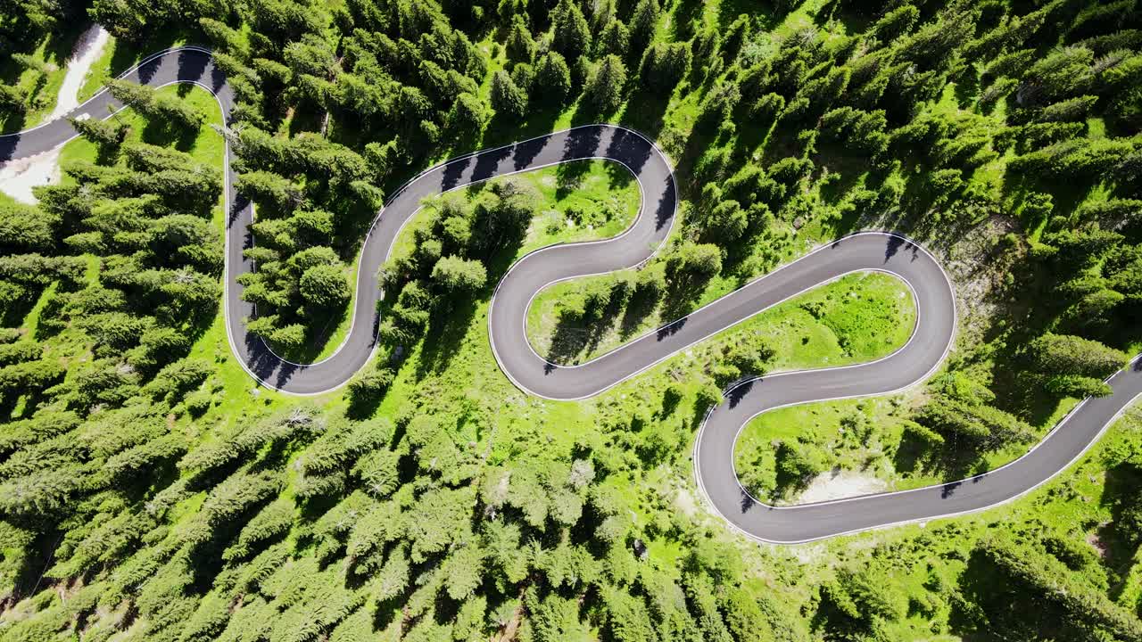 Winding mountain road, vibrant dense green forest, sunlight, top down drone view