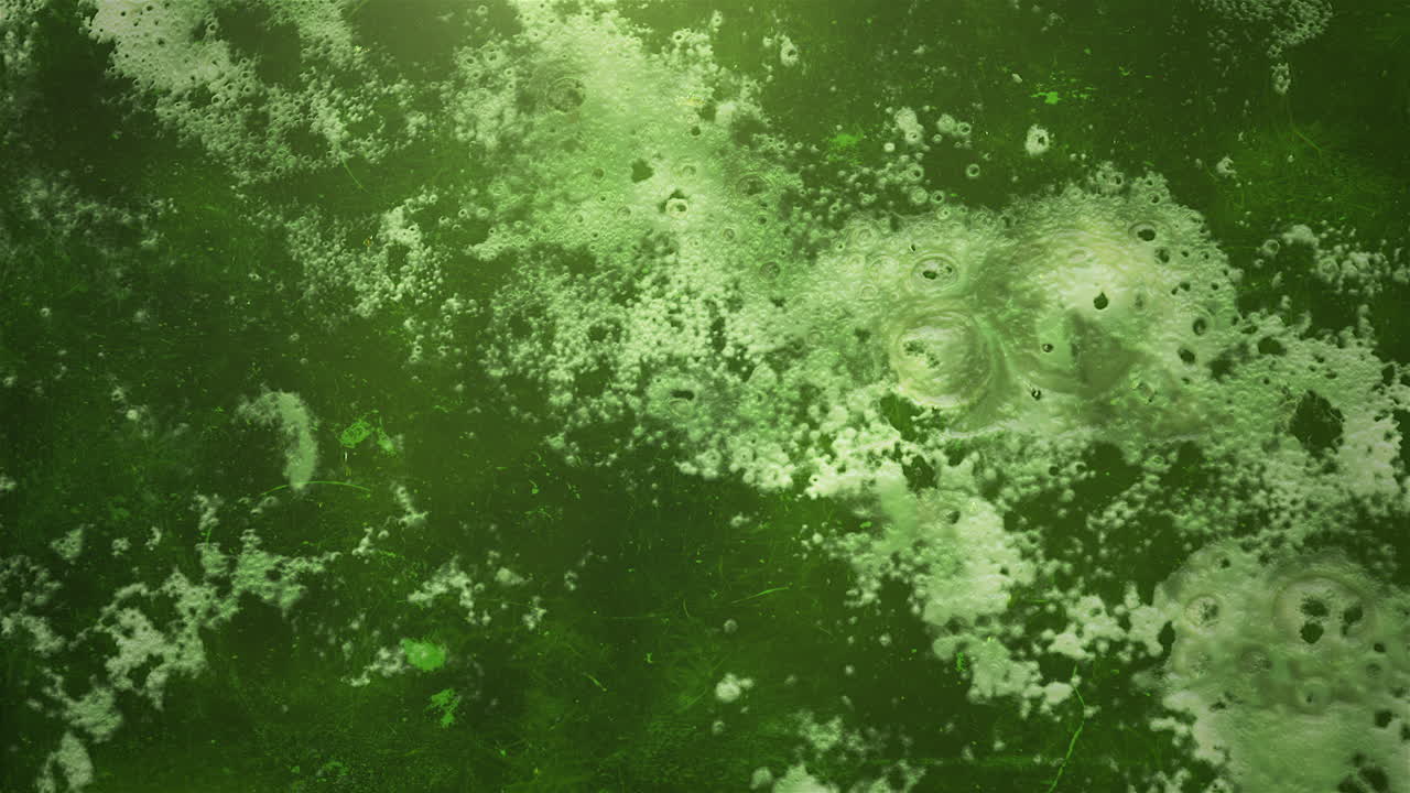 animación fondo verde de terror místico con sangre oscura y cámara de movimiento