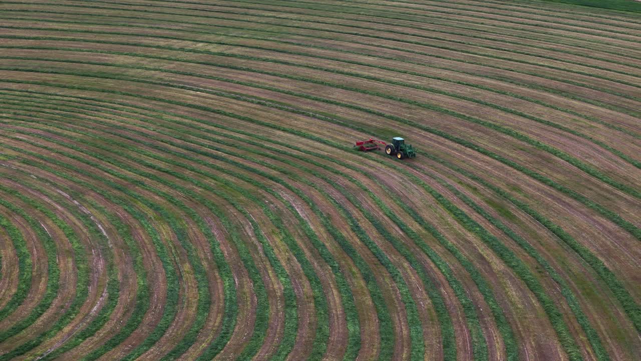 coreografía de la cosecha: teddy, rastrillo y un tractor verde en campos circulares de la hermosa columbia británica