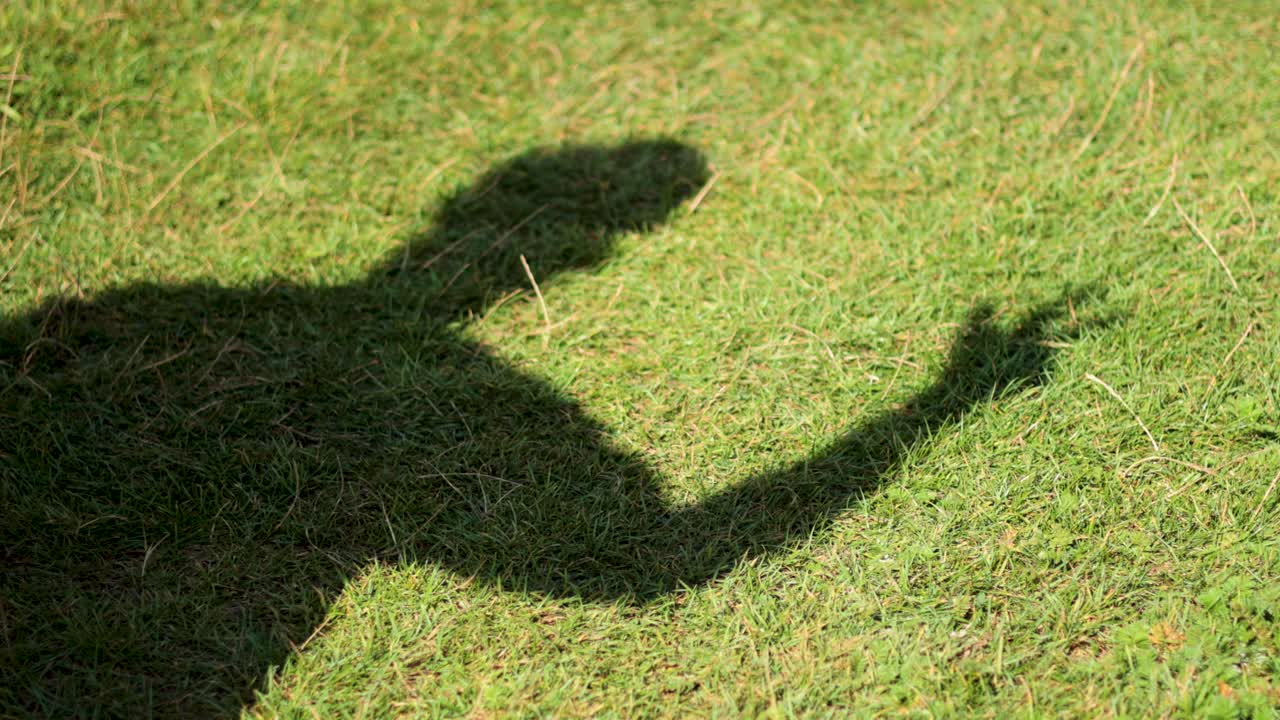 웨스트 서섹스의 잔디에 그림자 몸짓