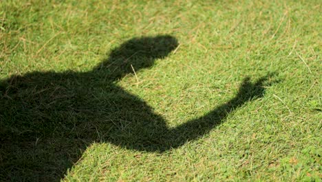 gestos de sombra en el césped en el oeste de sussex