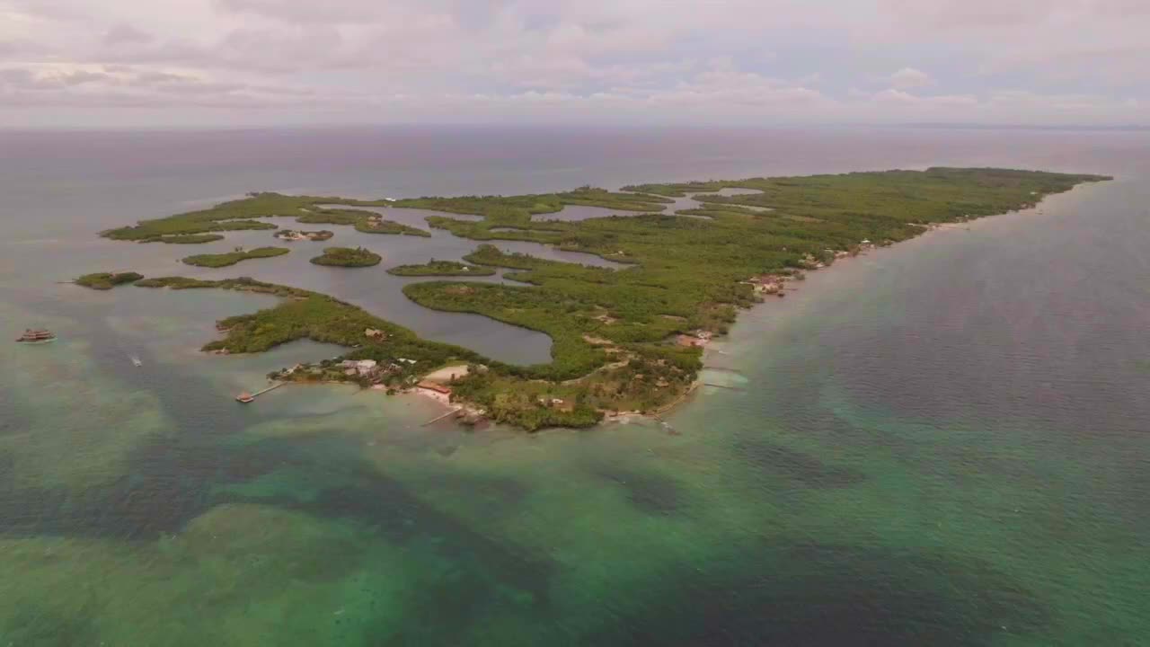 tintipan, una isla caribeña llena de manglares en medio del mar.