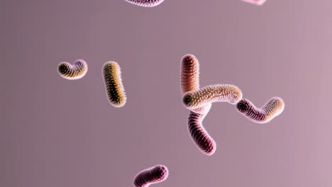 renderización en 3d de las bacterias