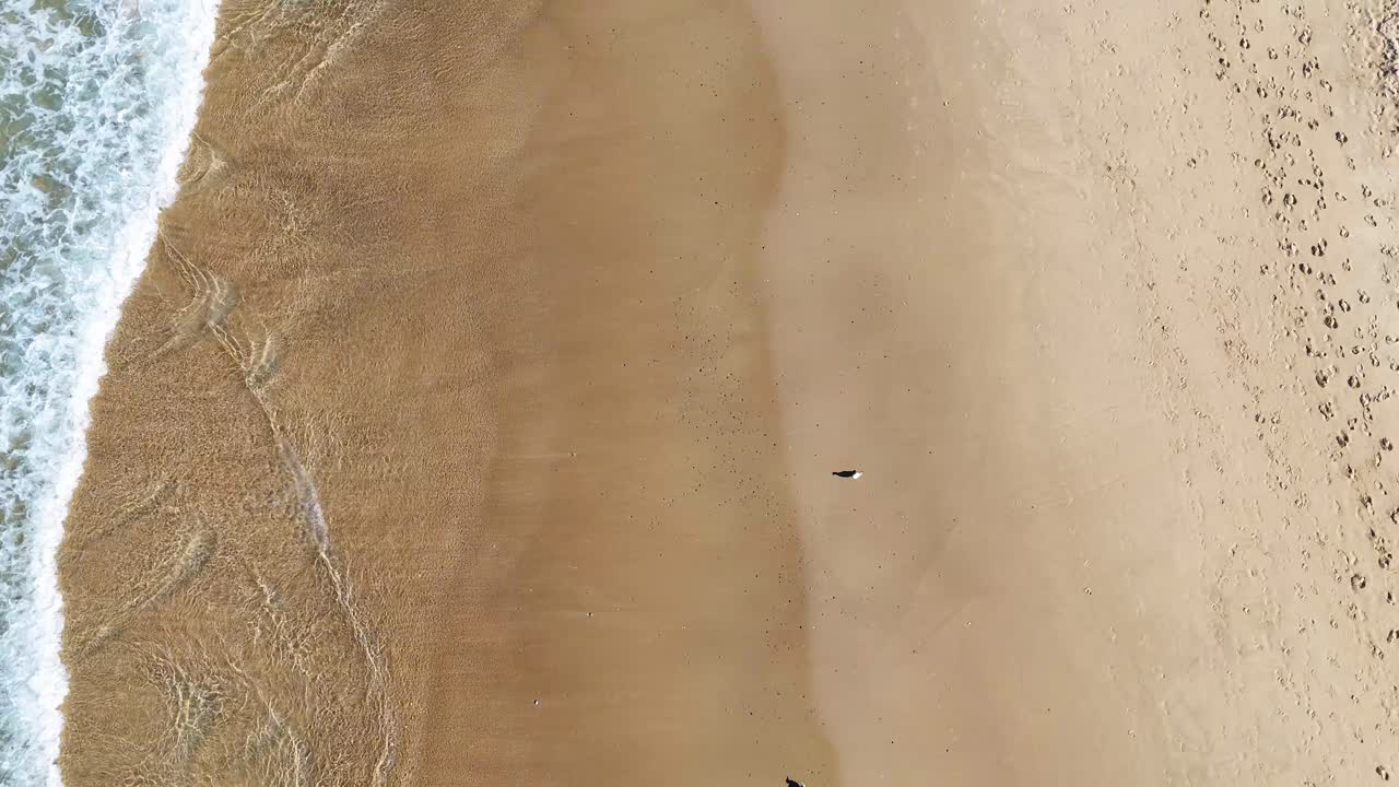 Folk går på sandstrand nær havbølger
