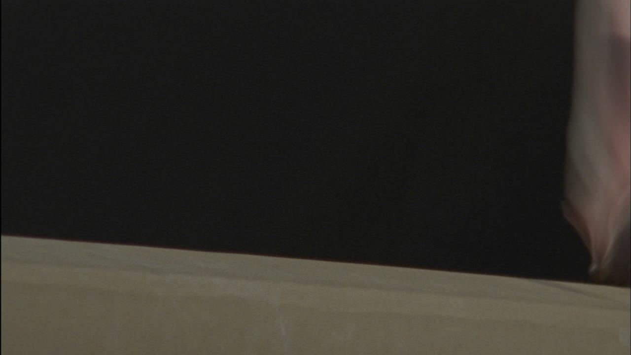 균형 빔에서 수행하는 체조 선수