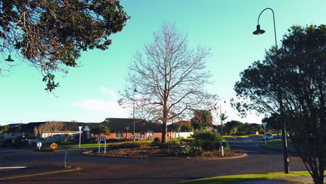 quiet roundabout in residential neighborhood with tree without leaves, dolly in