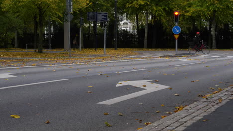 empty street intersection with red traffic light and flying yellow autumn leaves, urban background with copy space