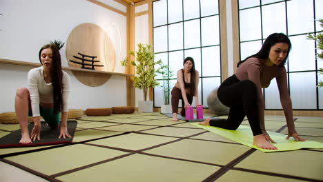 women doing yoga indoors