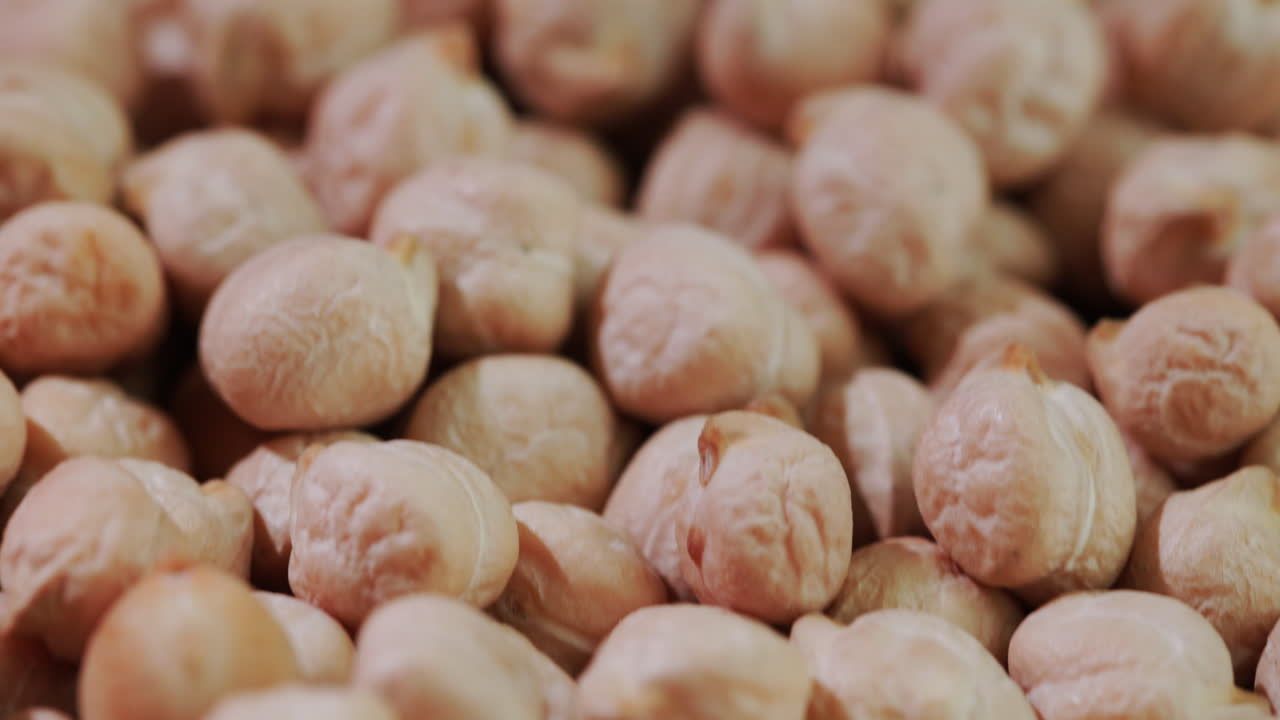 병아리 콩 곡물 2