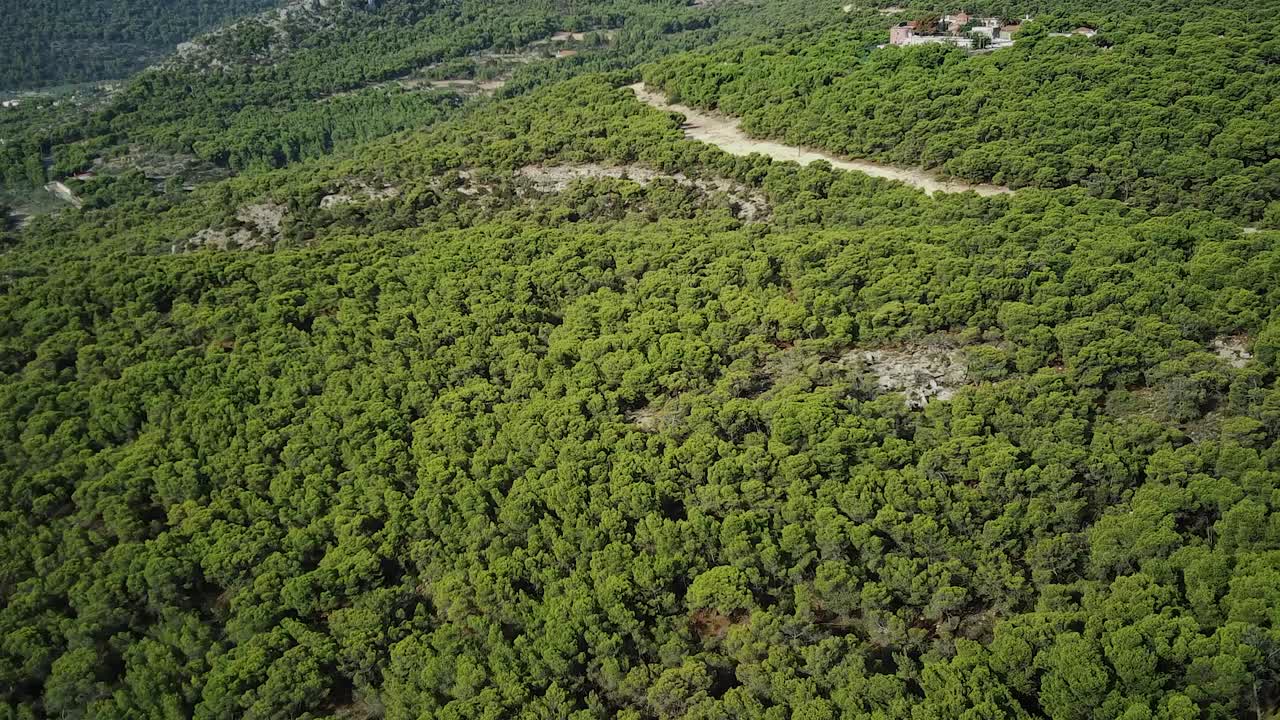 Veduta aerea di una splendida foresta ad Agia Marina in una giornata di sole