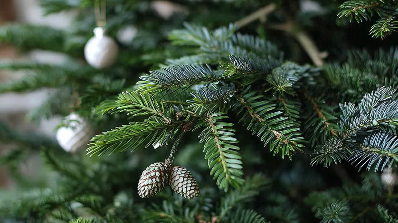 A Close-Up View of Lush Green Pine Tree Branches Adorned with Decorative Ornaments, Highlighting Nature's Beauty and Holiday Spirit in a Festive Atmosphere