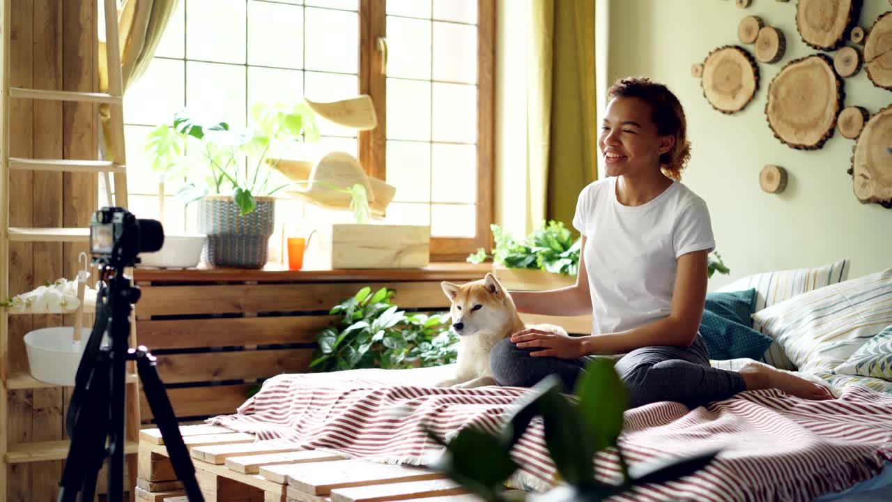 쾌활한 혼혈 블로거는 시바 이누 개와 함께 침대에 앉아서 삼각대 위에서 카메라를 보고 이야기하는 가축에 대한 튜토리얼을 녹음하고 있습니다.