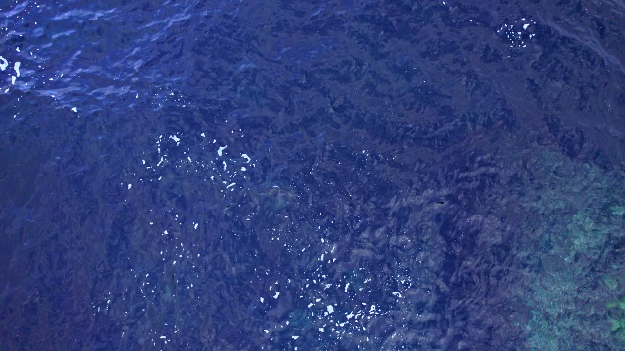 유럽 해수의 드론 클립