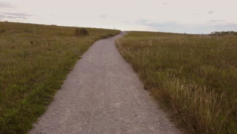 girl, toddler, riding bike uphill, in nose hill park, calgary, alberta, canada