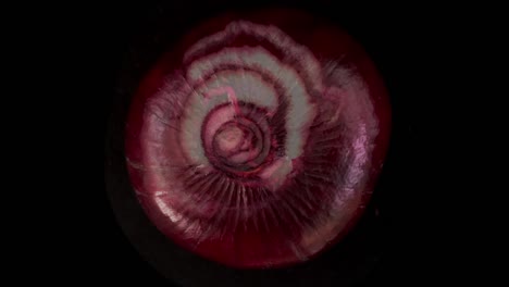 slicing through a red onion in stop motion animation. filmed on black background. cool modern cookery and food awareness concept. fresh fruit and vegetables