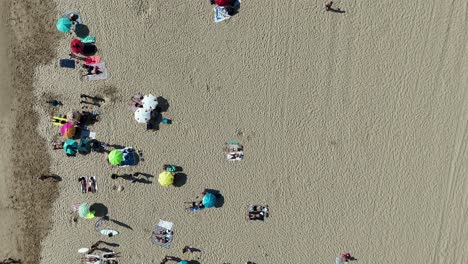 aerial view of beach with people and umbrellas
