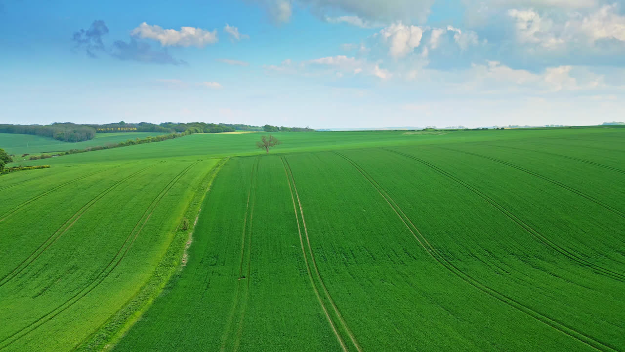 Drone video captures farmland summer crop fields in the Lincolnshire Wolds Hills