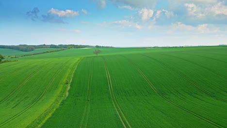 drone video captures farmland summer crop fields in the lincolnshire wolds hills