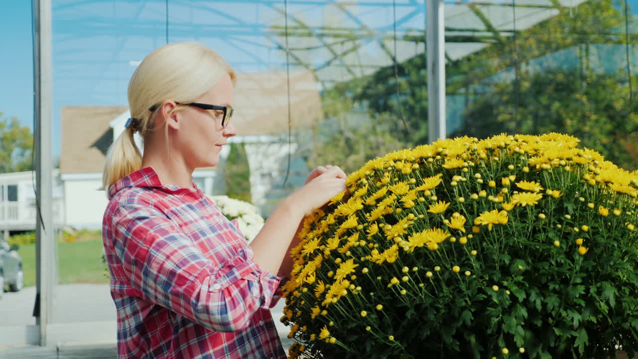 mujer arreglando flores amarillas