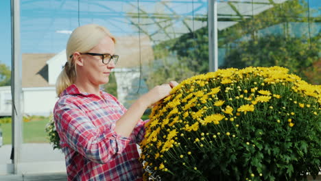 Frau-Arrangiert-Gelbe-Blumen