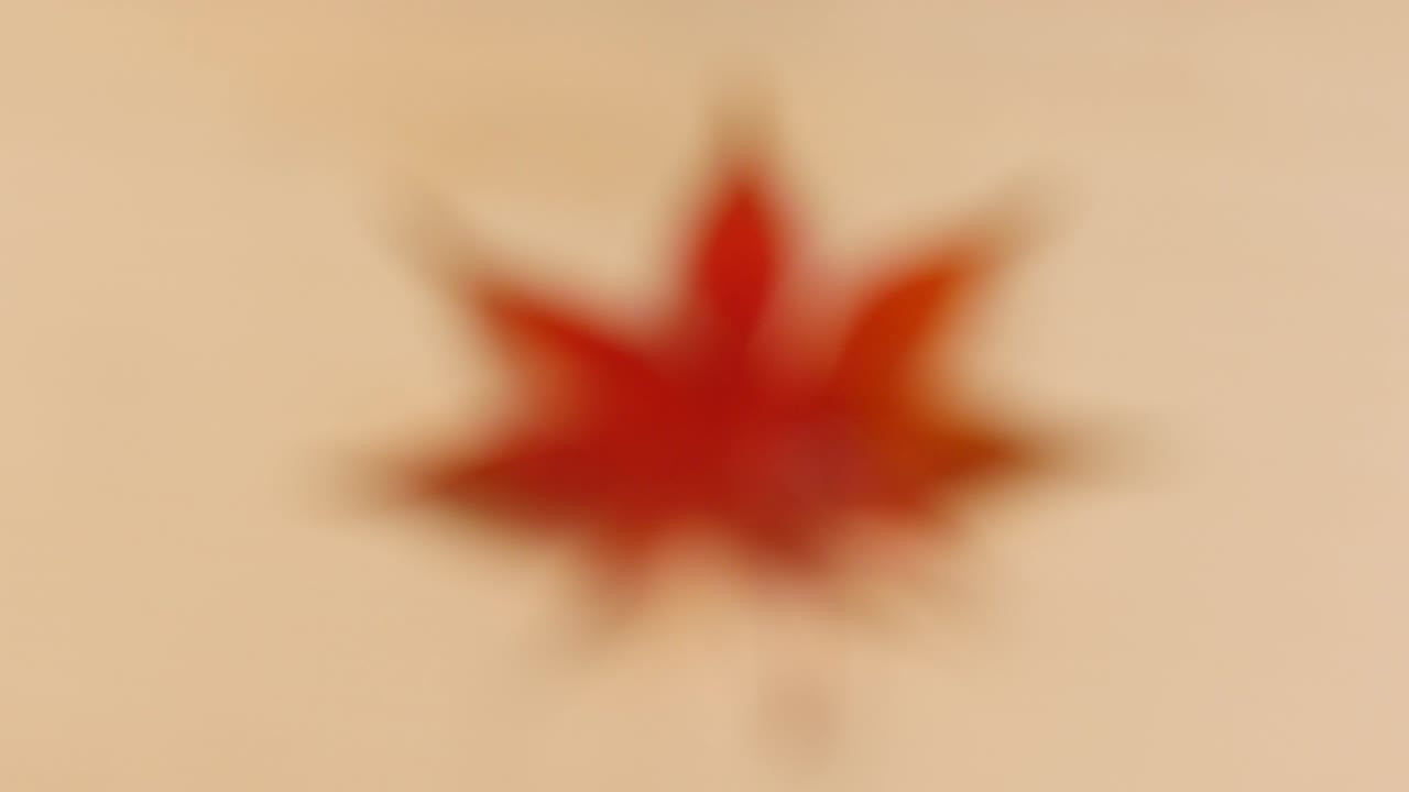 나무 테이블에 은 가을 잎에 초점을 맞추십시오.